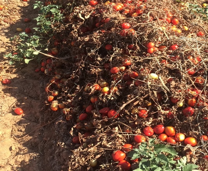 UPA-UCE satisfecha por la rapidez en las indemnizaciones por las tormentas