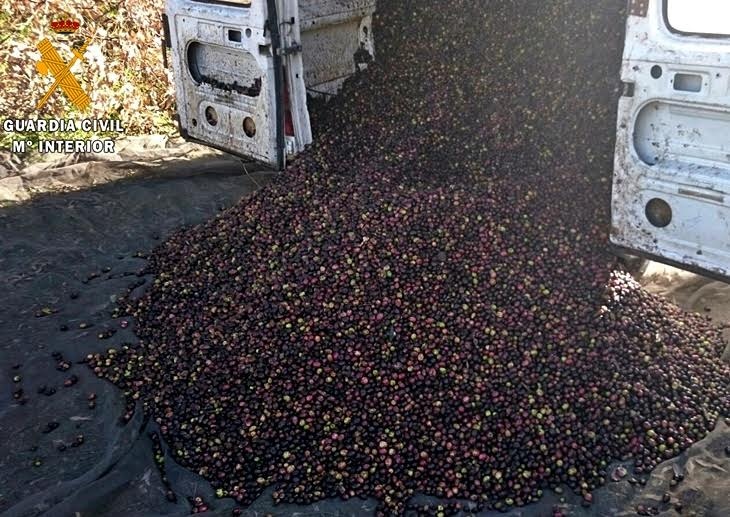 Nuevas medidas para acabar con los robos en el campo