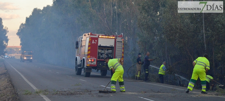 Arde parte de la alameda de Alvarado (Badajoz)