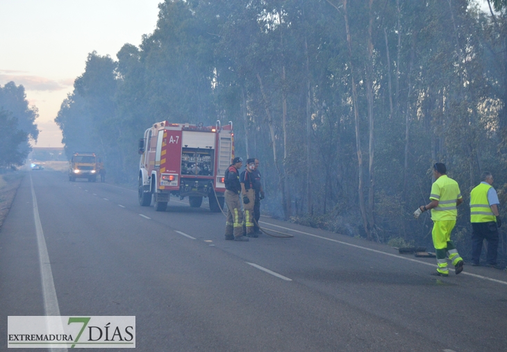 Arde parte de la alameda de Alvarado (Badajoz)