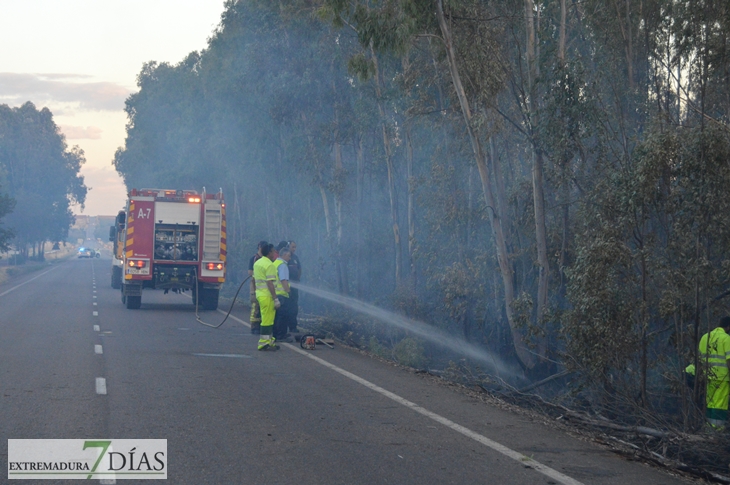 Arde parte de la alameda de Alvarado (Badajoz)