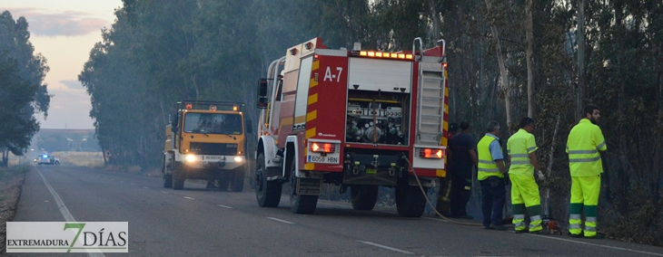 Arde parte de la alameda de Alvarado (Badajoz)