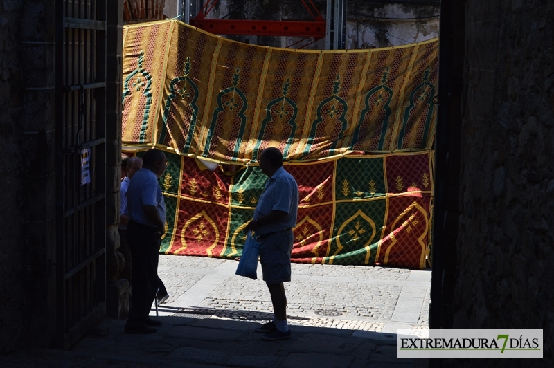 Imágenes que deja Al Mossassa en sus diferentes ambientes