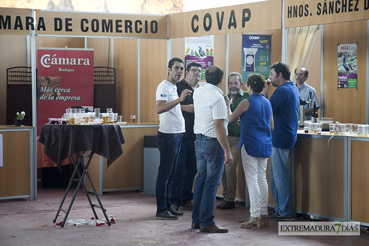 Ambiente en el Salón Ovino de Castuera