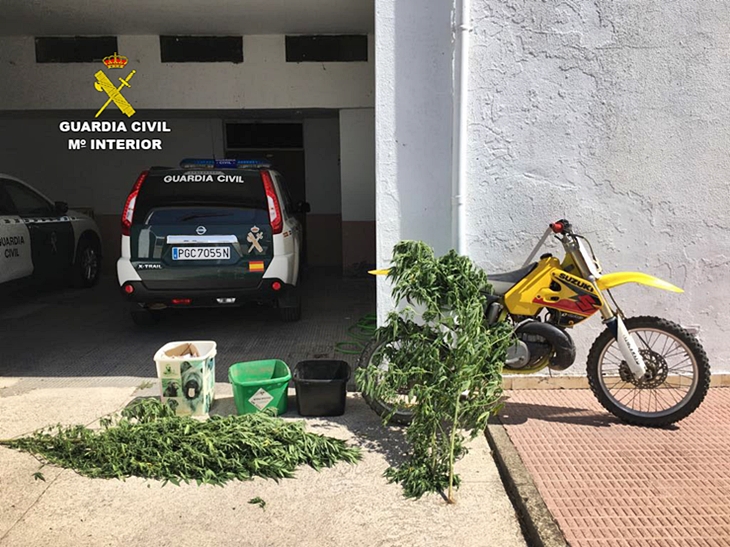 Cuatro detenidos por robar en un refugio de animales de Cáceres