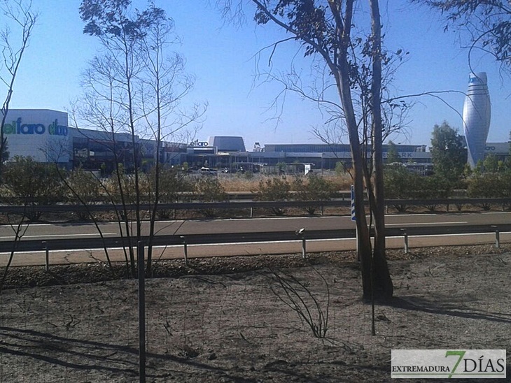 Día después del incendio en la Frontera de Caya (Badajoz)