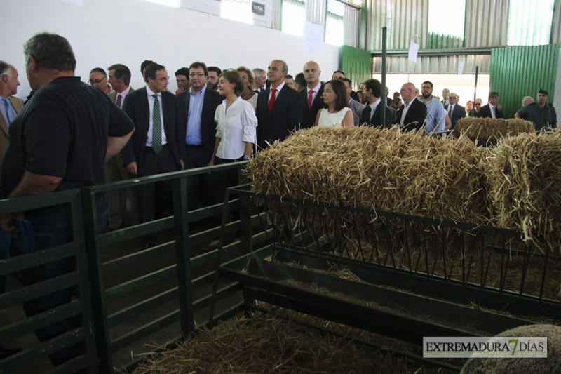 Imágenes de la inauguración de la Feria de Zafra 2016