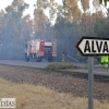 Arde parte de la alameda de Alvarado (Badajoz)