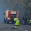 Arde parte de la alameda de Alvarado (Badajoz)