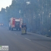 Arde parte de la alameda de Alvarado (Badajoz)