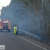 Arde parte de la alameda de Alvarado (Badajoz)