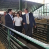 Imágenes de la inauguración de la Feria de Zafra 2016