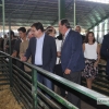 Imágenes de la inauguración de la Feria de Zafra 2016