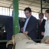 Imágenes de la inauguración de la Feria de Zafra 2016