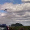 Aprehendidas más de 600 plantas de marihuana en varias plantaciones