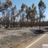 Día después del incendio en la Frontera de Caya (Badajoz)