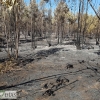 Día después del incendio en la Frontera de Caya (Badajoz)