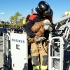 Curioso rescate de un buitre leonado en la torre Caja Badajoz