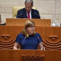 C’s exige una hoja de ruta para el cumplimiento del Plan del Ferrocarril