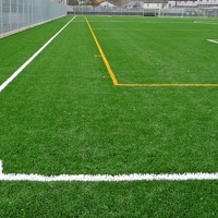 23.000 euros para mantener el césped artificial emeritense