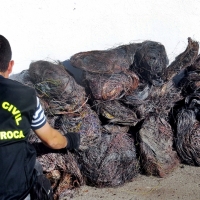 El robo de cable telefónico deja sin red a usuarios de Badajoz e Higuera