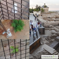 BA critica la falta de mantenimiento de los tramos rehabilitados de la Alcazaba