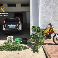 Cuatro detenidos por robar en un refugio de animales de Cáceres