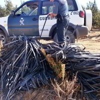 Tres detenidos por el robo de 1.600 metros de gomas de riego