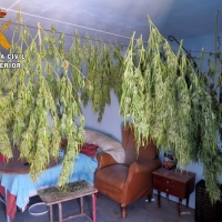 Dos detenidos por cultivo y tráfico de drogas en las Vegas Altas