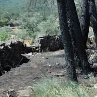 Detenido el autor de cuatro incendios forestales provocados