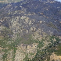 MEDIO AMBIENTE: "La Garganta de los Infiernos se recuperará del incendio sin daños reseñables"
