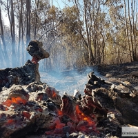 Día después del incendio en la Frontera de Caya (Badajoz)