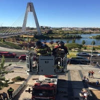 Curioso rescate de un buitre leonado en la torre Caja Badajoz