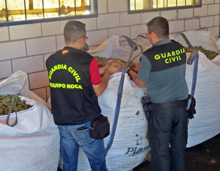 Varios detenidos en una operación contra los robos de almendras