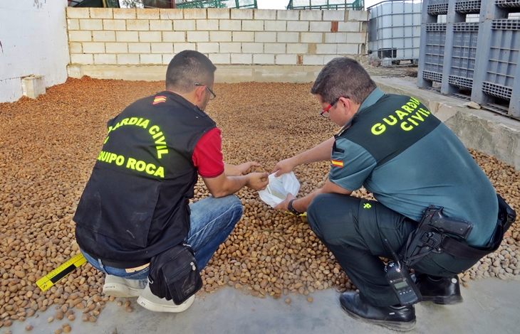 Varios detenidos en una operación contra los robos de almendras