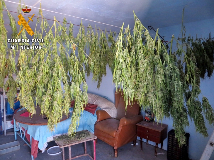 Dos detenidos por cultivo y tráfico de drogas en las Vegas Altas