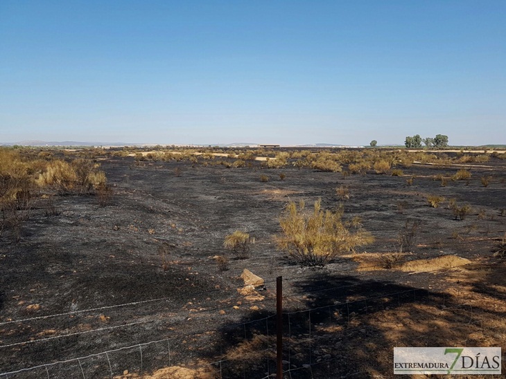 Día después del incendio en la Frontera de Caya (Badajoz)