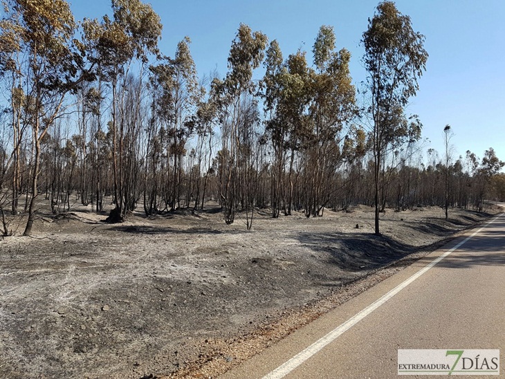 Día después del incendio en la Frontera de Caya (Badajoz)