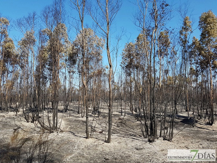 Día después del incendio en la Frontera de Caya (Badajoz)