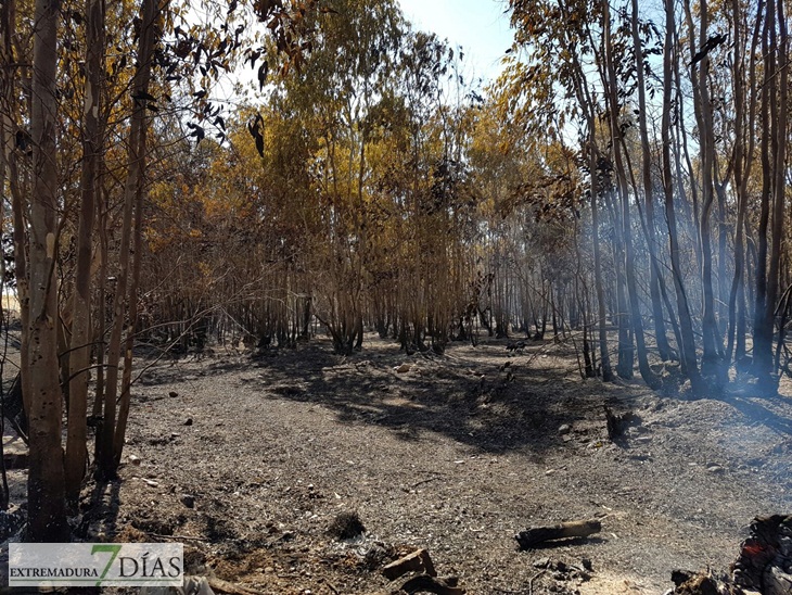 Día después del incendio en la Frontera de Caya (Badajoz)