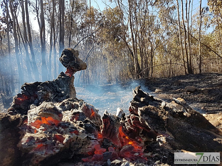 Día después del incendio en la Frontera de Caya (Badajoz)