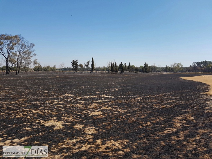 Día después del incendio en la Frontera de Caya (Badajoz)