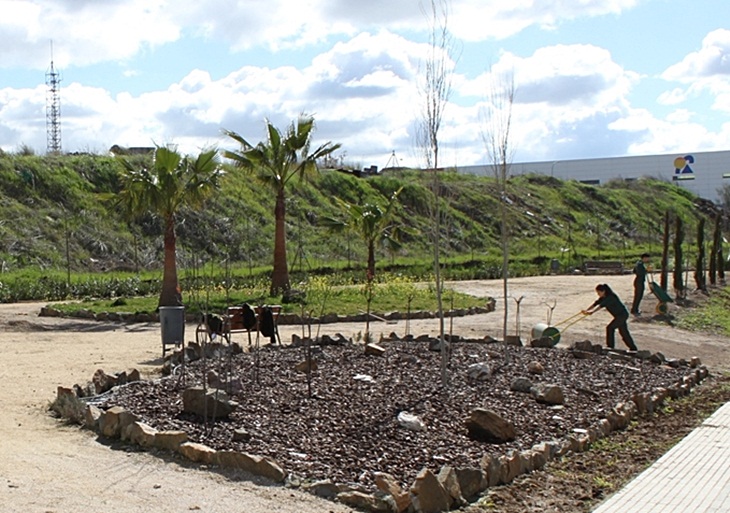 El Plan de Empleo Experiencia realizará114 contrataciones en Mérida