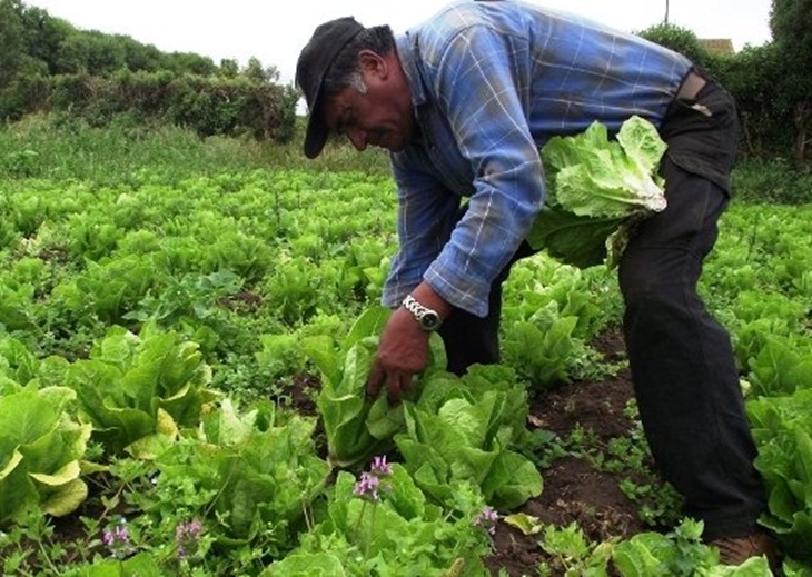 La Unión exige a la Junta la prórroga de la jubilación anticipada