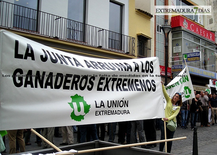 Los ganaderos se manifestarán ante la falta de medidas en la tuberculosis