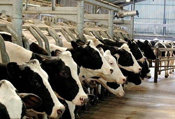 “La Junta se baja los pantalones por la presiones de la Mesa de la Caza”