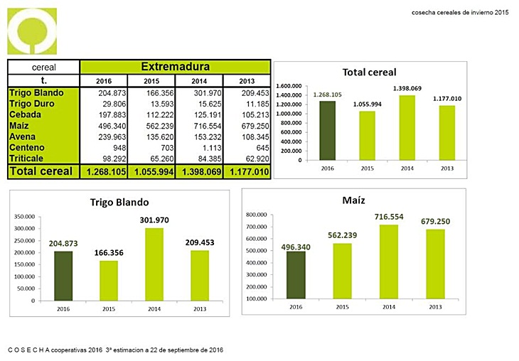 La cosecha de cereales en Extremadura aumentará un 20%