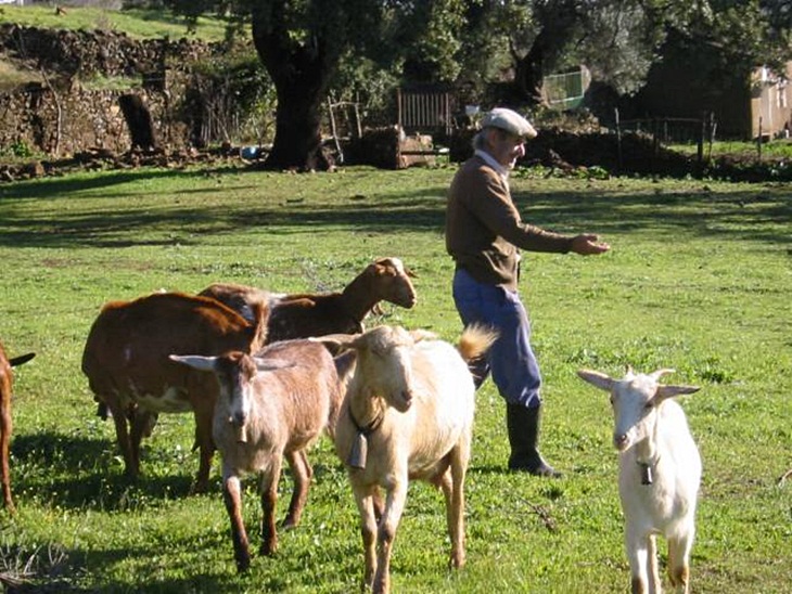 La Unión: “La Junta deja a muchos cabreros en la ruina”