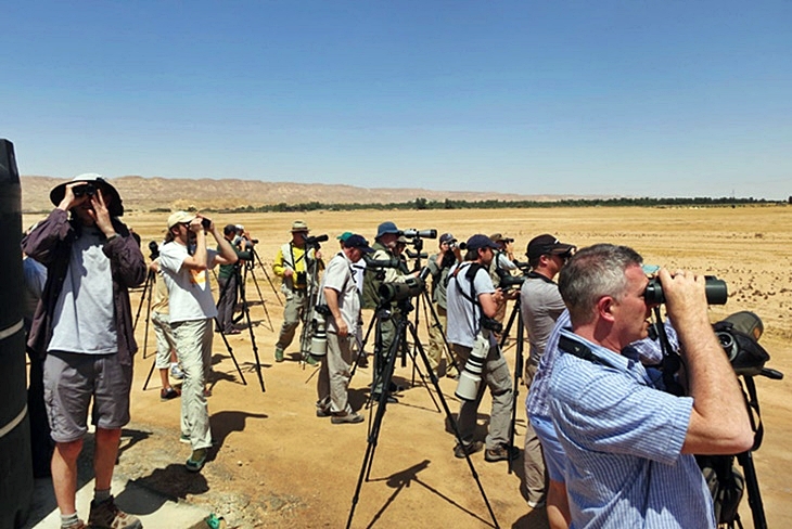 Turismo ornitológico en la Siberia Extremeña