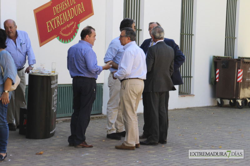 Imágenes del ambiente en la Feria de Zafra 2016